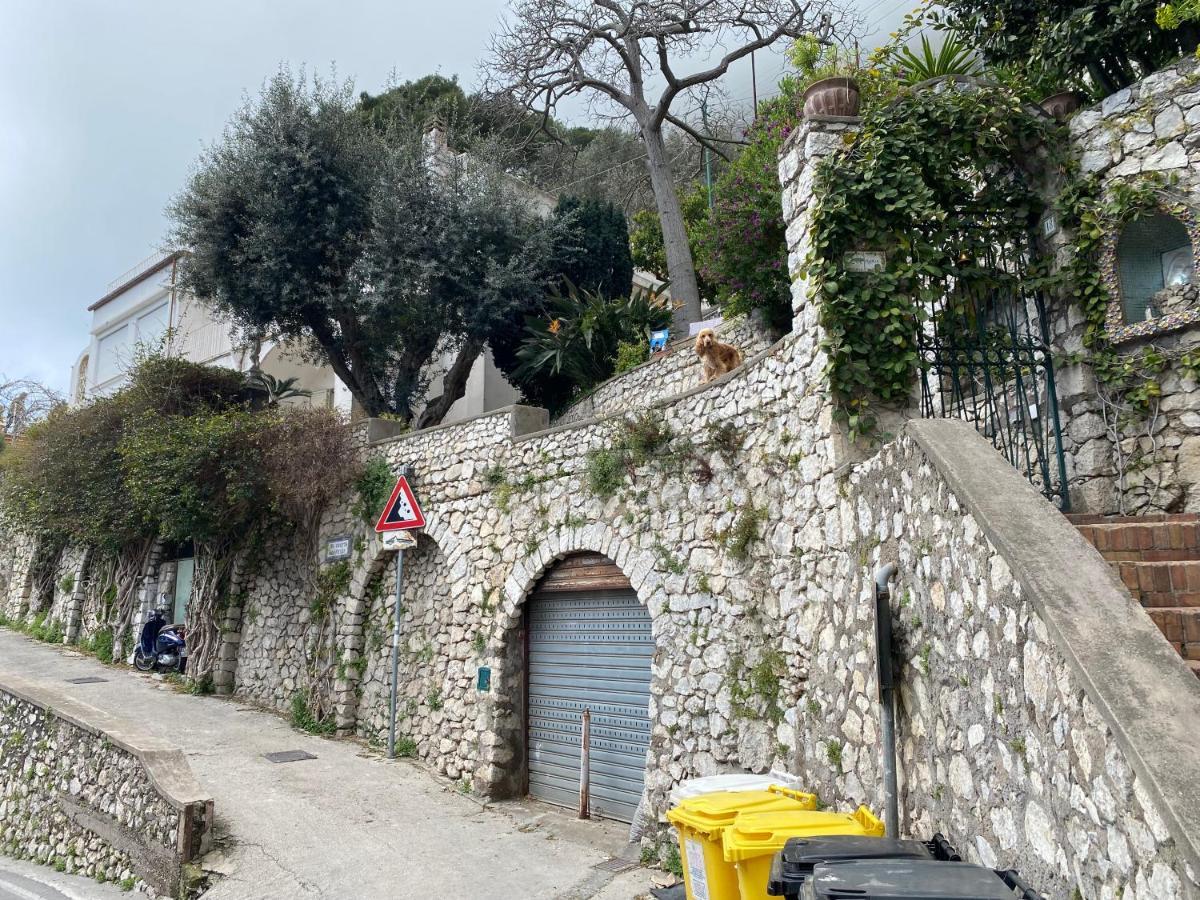 Regina Di Capri - Suite Vista Faraglioni ภายนอก รูปภาพ